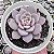 E. LOVEME POTE 9 - Imagem 1