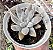 E. TOLIMANENSIS GRAY SILVER POTE 9 - Imagem 1