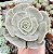 E. POLLUX POTE 9 - Imagem 1