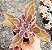 KALANCHOE LACINATA POTE 9 - Imagem 1