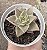 E. JADE STAR VARIEGATA POTE 9 - Imagem 1