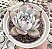 E. COLORATA ROOF POTE 9 - Imagem 1