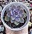 E. PURPLE STONE POTE 9 - Imagem 1