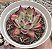 E. COLORATA DESERT HARMONY POTE 9 - Imagem 1