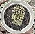 ANACAMPSEROS ARACHNOIDES POTE 9 - Imagem 1