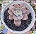 E. PAINTED PURPLE POTE 9 - Imagem 1