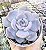 E. LUANA POTE 9 - Imagem 1