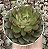 E. GREEN FLAME POTE 9 - Imagem 1