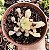H. COOPERI VAR. ICE LANTERN POTE 9 - Imagem 1