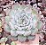 E. STRAWBERRY DIAMOND POTE 9 - Imagem 1