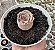 GREENOVIA PINK POTE 9 (POUCA RAIZ) - Imagem 1