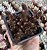 SED. HAKONENSE CHOCOLATE BALL POTE 7 - Imagem 1