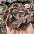 E. GIBB. CRESCENT SPRINGER IMPORTADA SEM RAIZ - Imagem 1