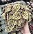 PEPEROMIA CAPERATA BRONZE CUIA 13 - Imagem 1