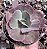 E. GIBB. CRISONTIDE POTE 11(pouca raiz) - Imagem 1