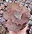 E. GIBB. CARMEN POTE 9 pouca raiz - Imagem 1