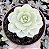 SED. PUDGY VARIEGATA POTE 9 - Imagem 1