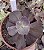 E. GIBB. BULLÉRIA IMPORTADA POTE 13 - Imagem 1