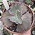 E. GIBB. MAUVE JADE POTE 11 - Imagem 1