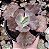 E. GIBB. ALONSA POTE 11 - Imagem 1