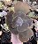 E. GIBB. PURPLE CREEP POTE 11 - Imagem 1