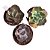 KIT. GIBB. CARUNCULAS (MAGIC LAMP/VERRUGAS/ZIHE) POTE 9 - Imagem 1