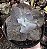 E. GIBB. ETNA POTE 15 - Imagem 1