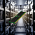 Memória HPE 16GB 1Rx8 PC5-4800B-R Smart Kit - P43322-B21 - Imagem 1