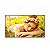 Monitor Profissional LG 4K UHD StandAlone 43UL5Q-M.AWZM - Imagem 1
