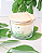 Vela Aromática "GOTAS DE ORVALHO" - Herbal de Menta, Limão e Flor de Laranjeira - energia do bem-estar e clareza mental, da boa-sorte e positividade. - Imagem 2