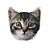 Almofada Formato Micro Pérolas Gato Cinza - Imagem 1