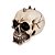 Caveira Moicana Bege Media Deco Skull MO-1 - Imagem 2