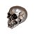 Caveira Socrates Prata R.Deco SKULL-09 - Imagem 3