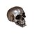 Caveira Socrates Prata R.Deco SKULL-09 - Imagem 1