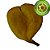 Fava de Oxum Aberta - Imagem 1