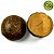 Coité / Coeté / Cuete / Cuia de Coco Natural sem base - Imagem 1
