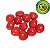 Fava da Sorte - Imagem 1