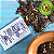 Defumador Divino 45g - Imagem 2