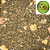 Defumador Completo - Imagem 2