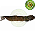 Okete Ifa - Imagem 1