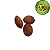 Fava Da Riqueza Oxaguiã Oxaguian Tipo 2 - Imagem 1