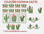 COLEÇÃO COZINHA CACTO - Imagem 1