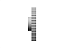 POLIA IND. ROYAL 60 DENTES L 100 TIPO 6WF FERRO FUNDIDO - Imagem 3