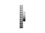 POLIA IND. ROYAL 60 DENTES L 100 TIPO 6WF FERRO FUNDIDO - Imagem 5