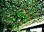 Rede de Camuflagem - Imagem 9