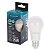 Lampada Bulbo Led  15w 6500k E27 Tramontina - Imagem 1