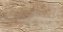 Porcelanato Esm Elizabeth 50x100 Ant.Wood Amber - Imagem 1