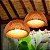 Luminária de Teto Lustre Pendente Bambu Luzza Malibu 35 Fio Branco - Imagem 9