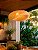 Lustre Bambu Luzza Honolulu 60 - Imagem 12