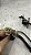 Magneto Honda Cb 250F Twister 2022 original - Imagem 4